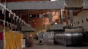 Neubau einer Großbäckerei, 3900 m² Neubau einer Großbäckerei, 3900 m²
